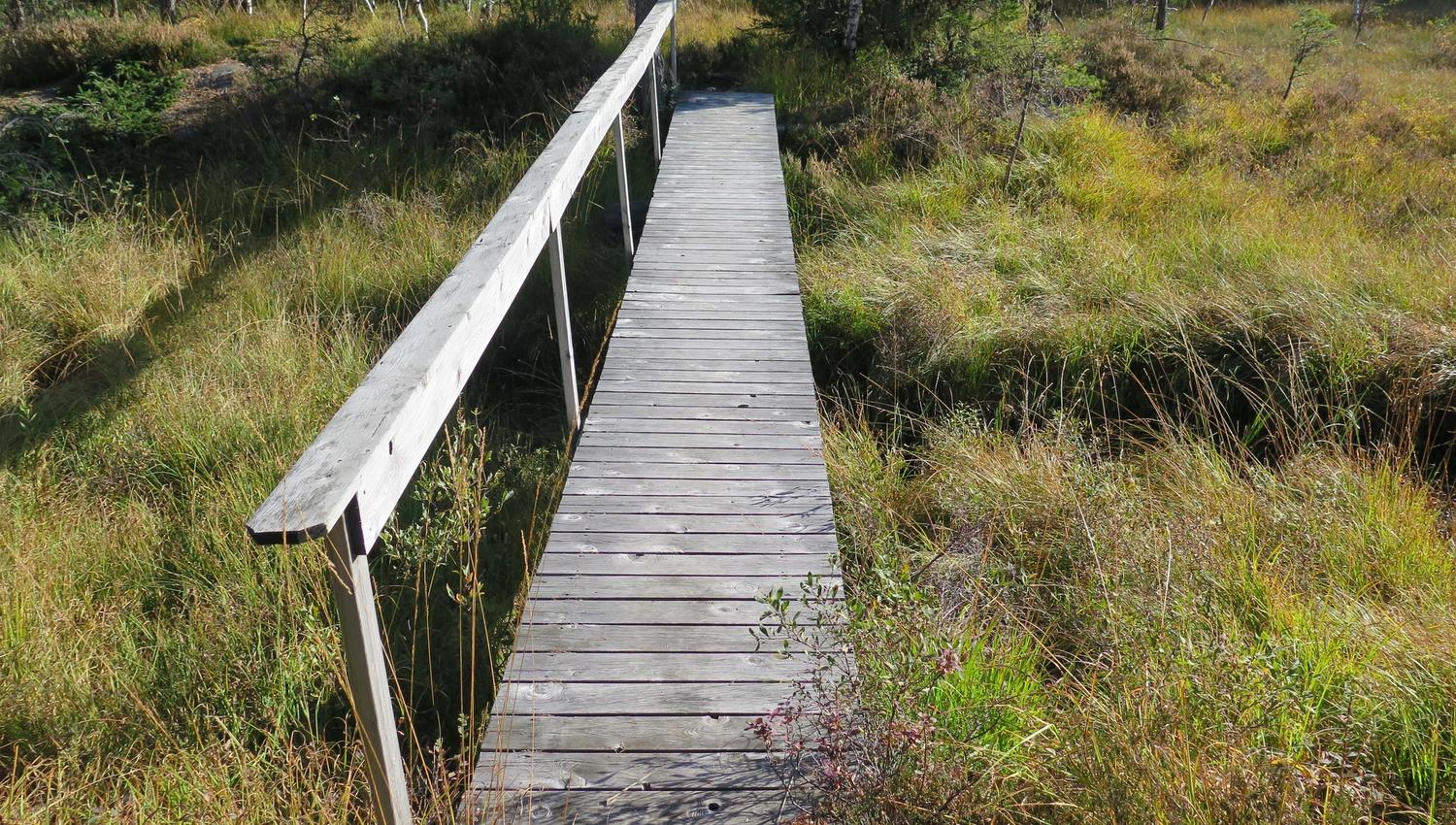 Krigsminnet på Vierli