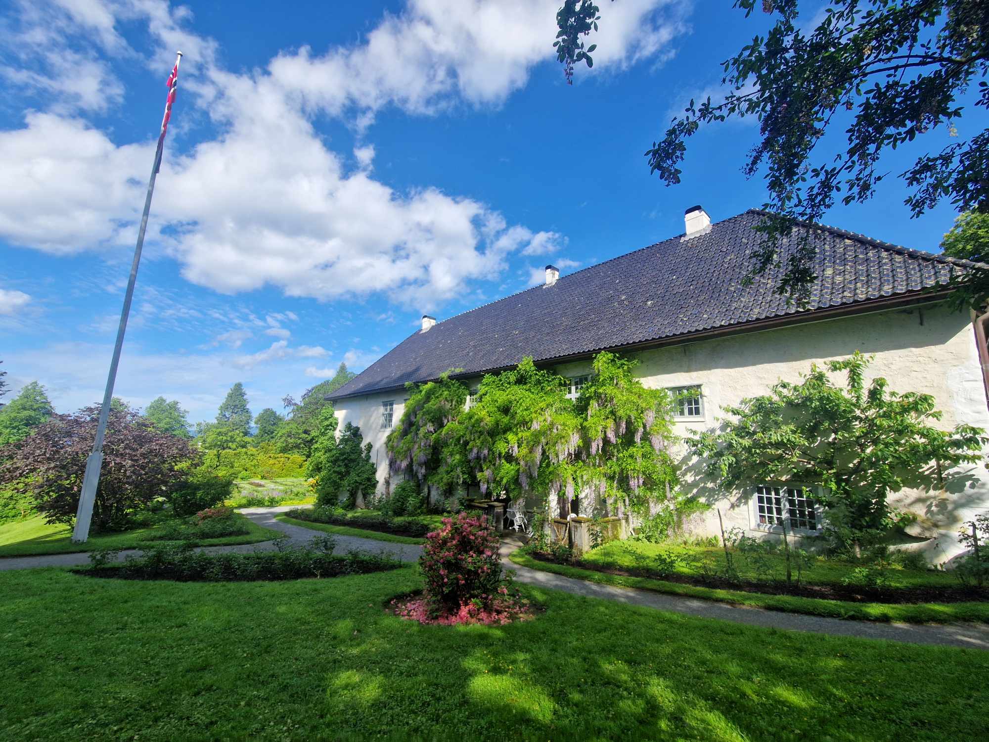 Baroniet Rosendal med det flotte blåregn-treet langs veggen.