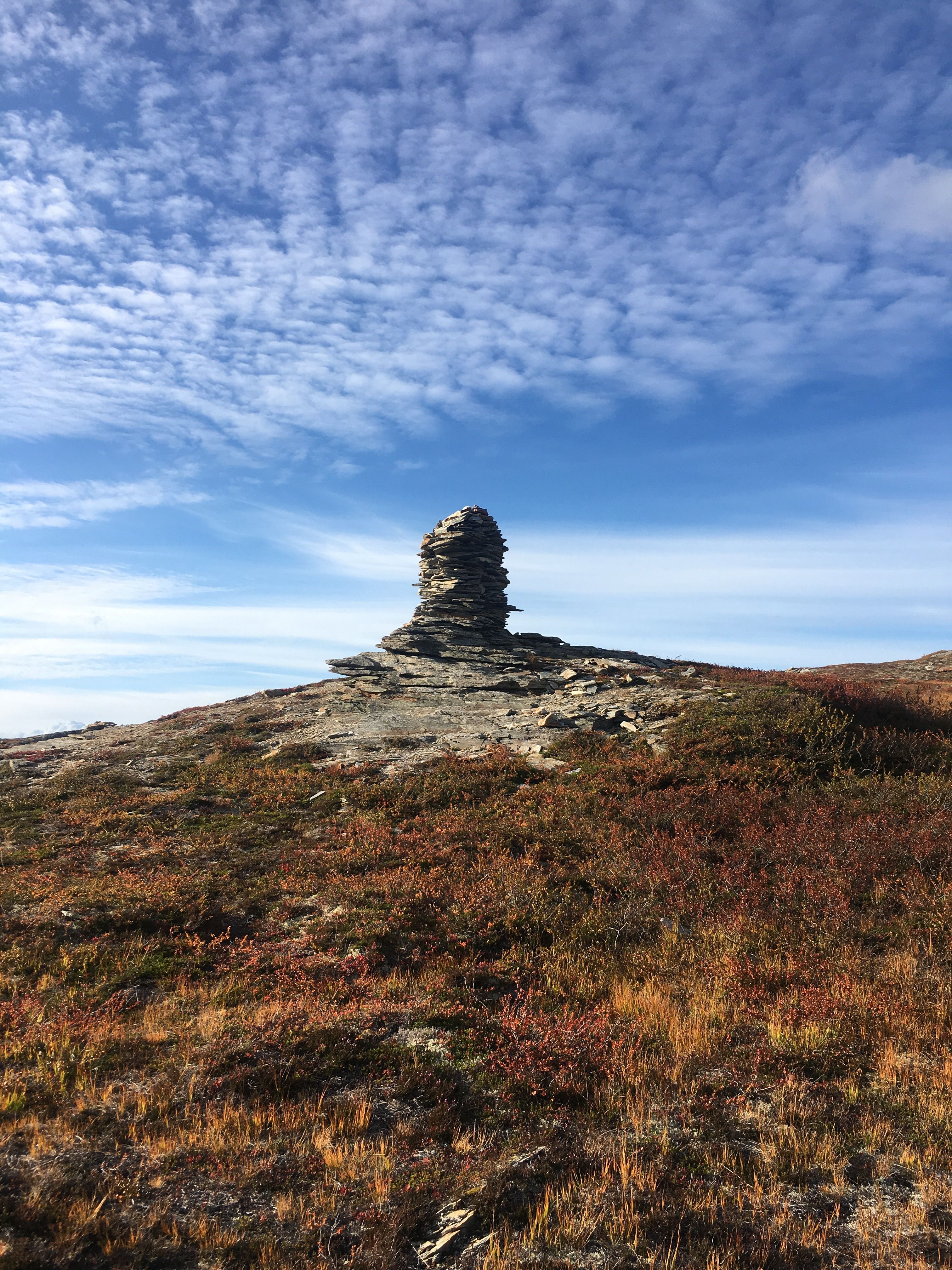 Stone cairn on the Hardangervidda plateau surrounded by alpine vegetation.