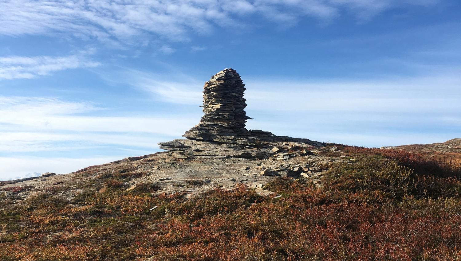 Stone cairn on the Hardangervidda plateau surrounded by alpine vegetation.