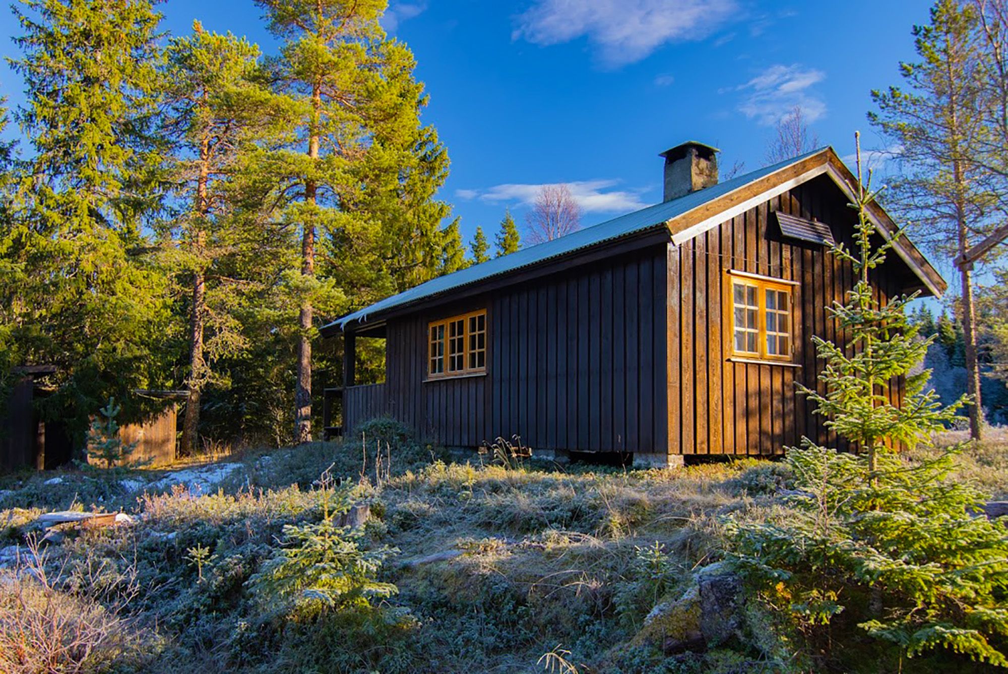 Roksjøhytta på høsten