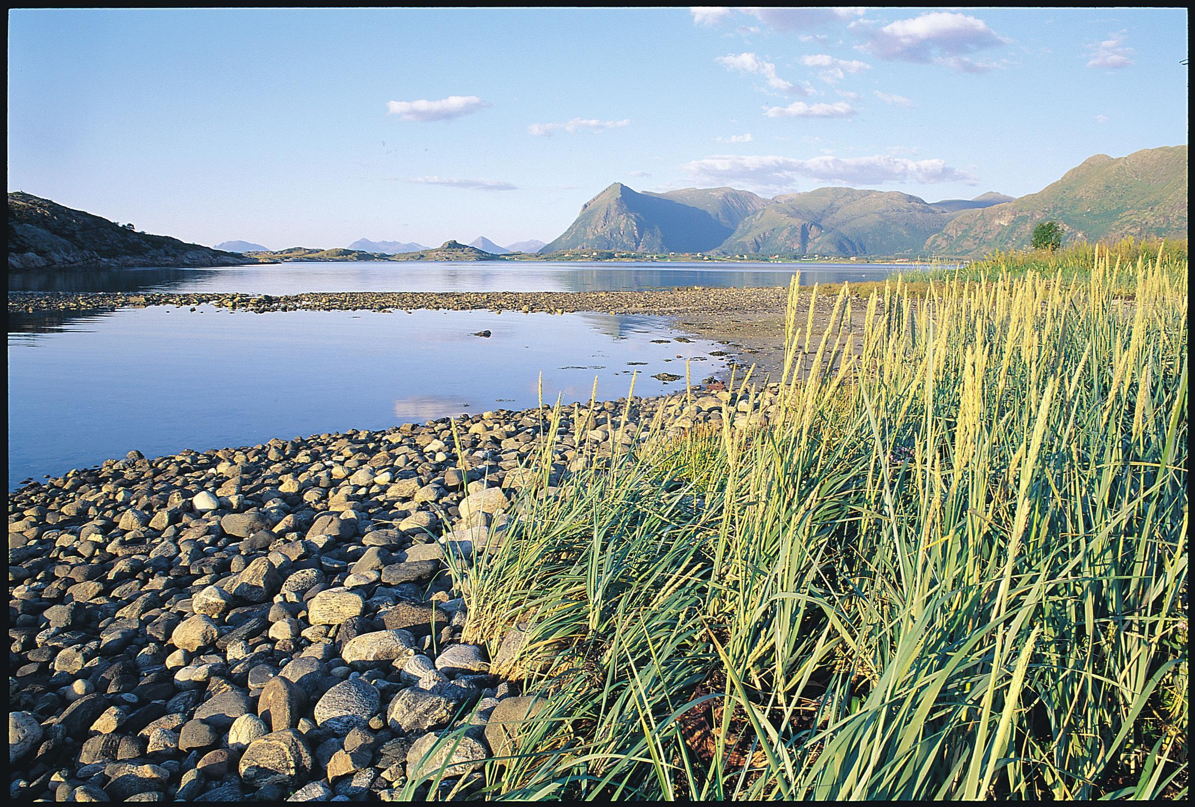 Tour suggestion by car from Molde: Åndalsnes and Trollstigen
