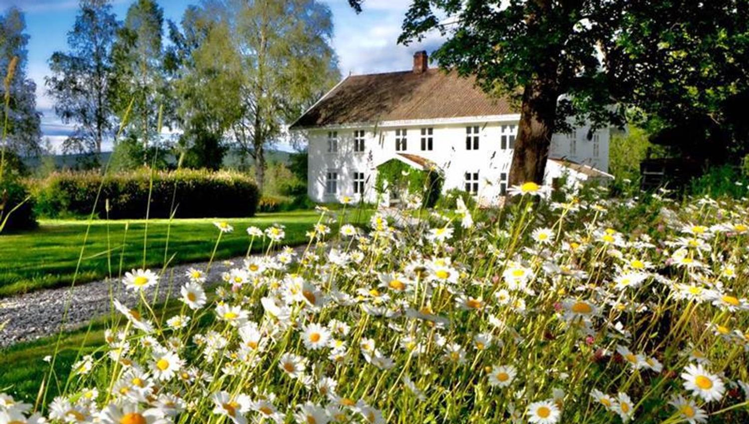 Villa Breen - summerday with flowers