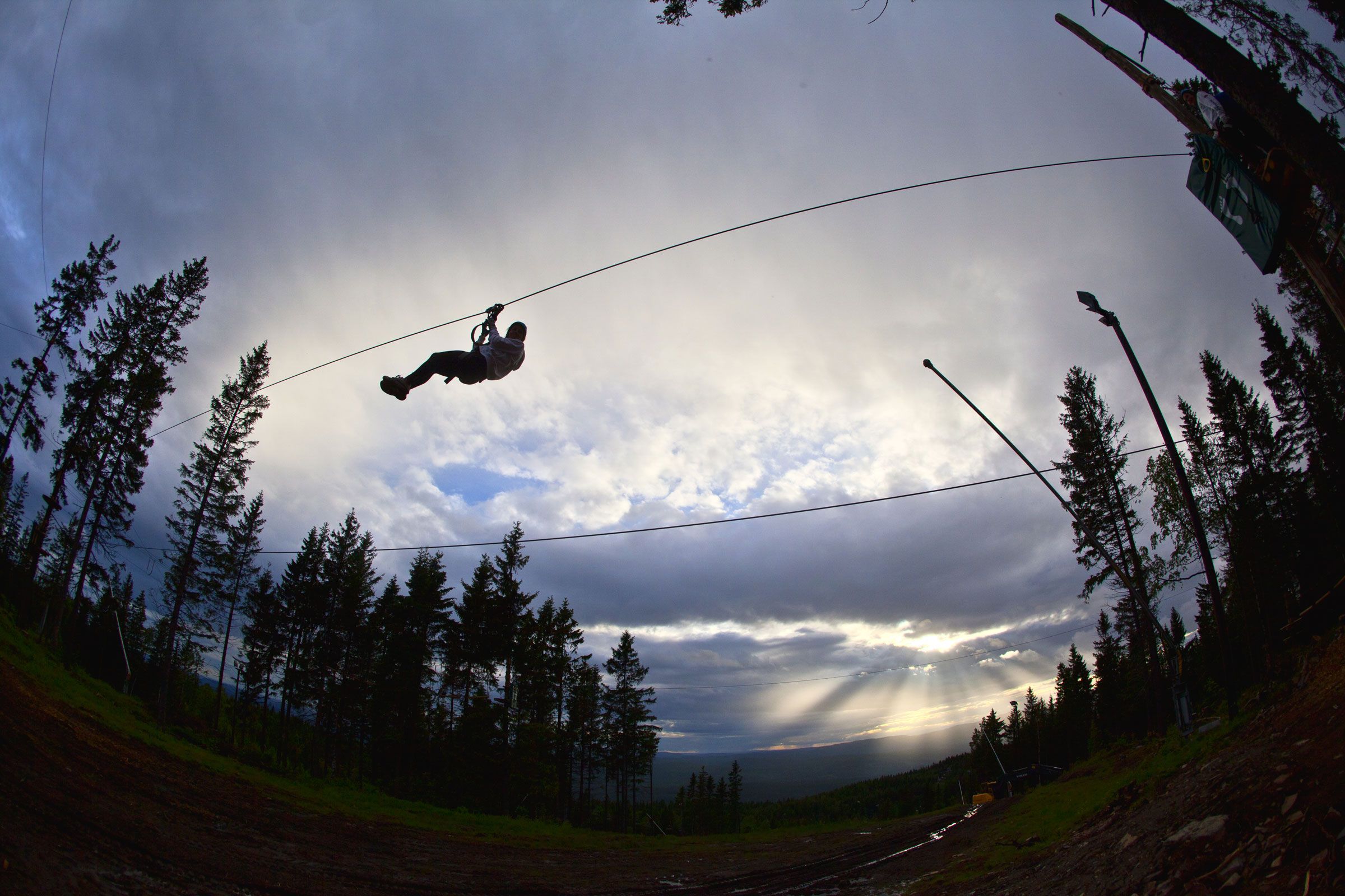 Ziplining from treetop to treetop.