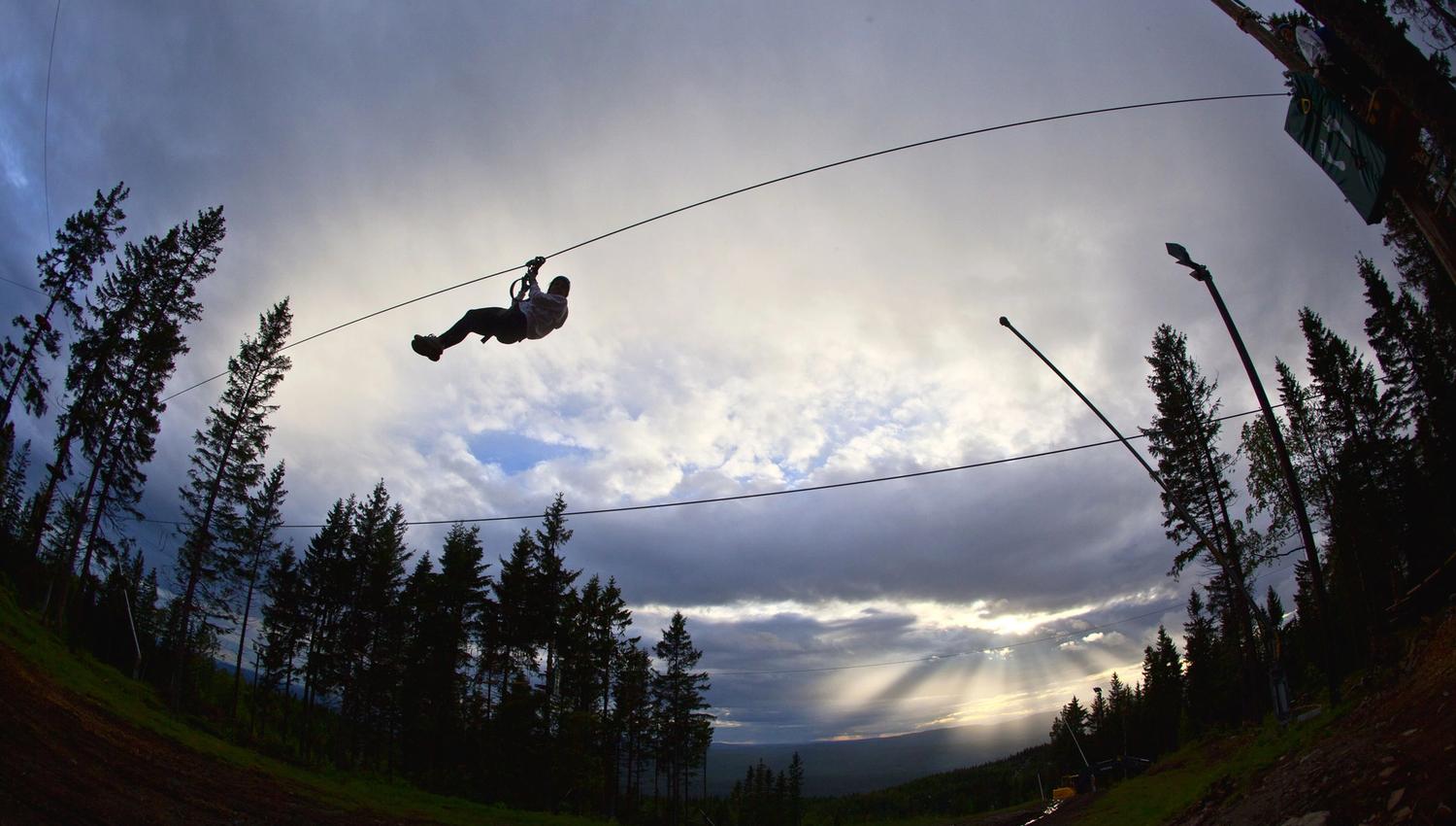 Ziplining from treetop to treetop.