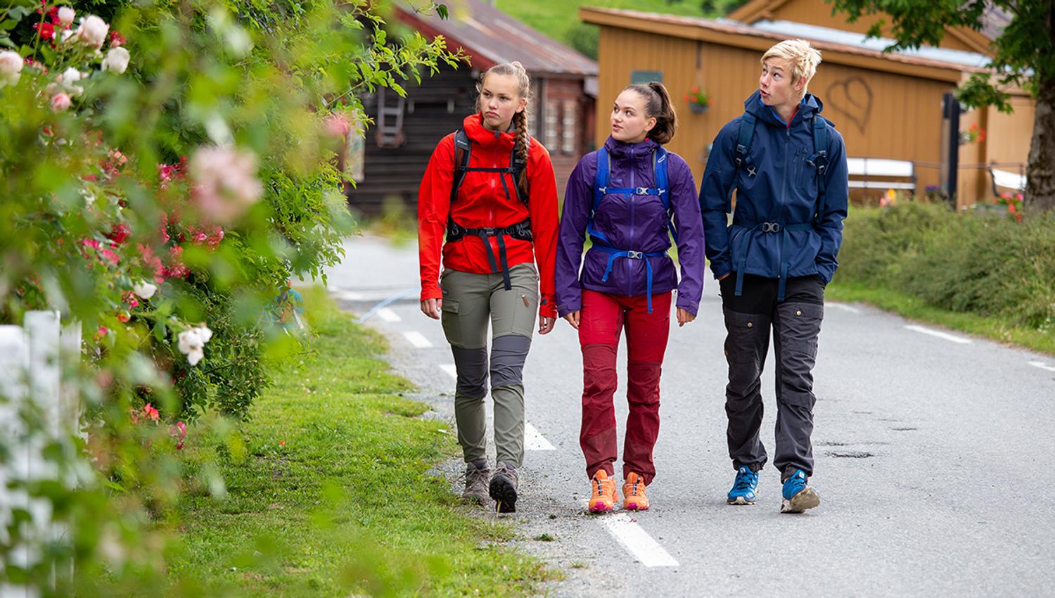 Lårdalstigen