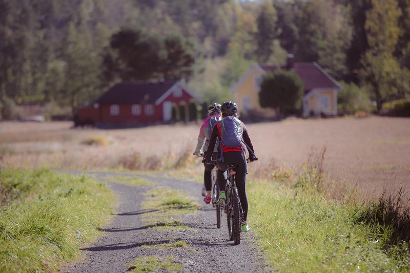 cycling on Skjærgårdsruta along the Telemark coast 