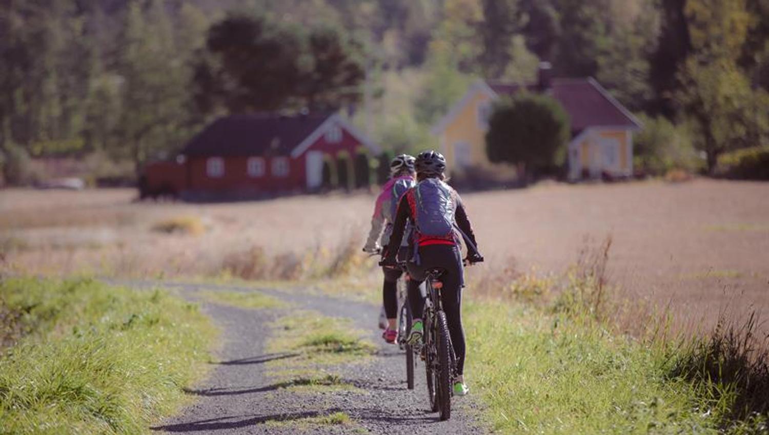 cycling on Skjærgårdsruta along the Telemark coast
