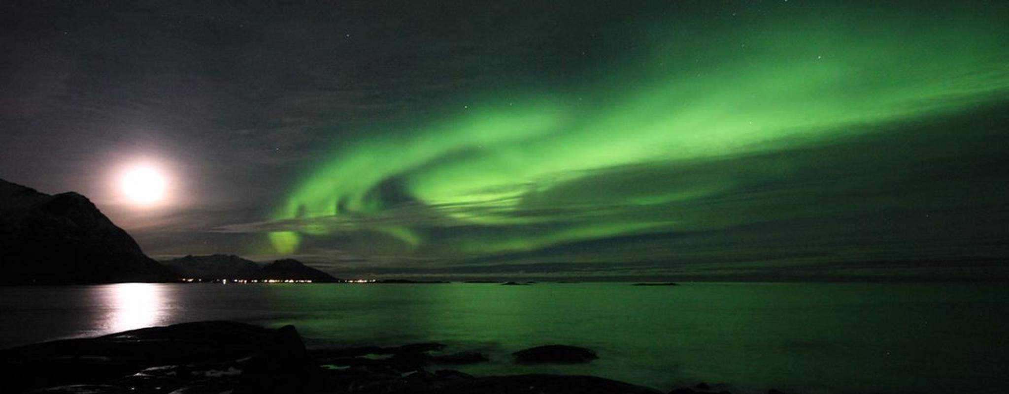 Nordlystur 4 timer - Lofoten Aktiv