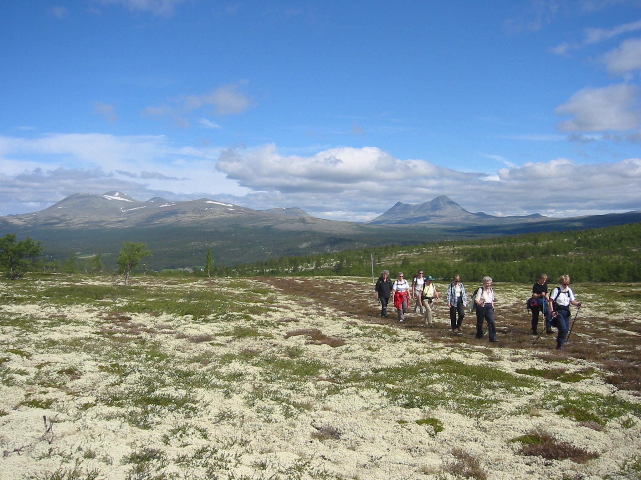 Rondane IMG_7012