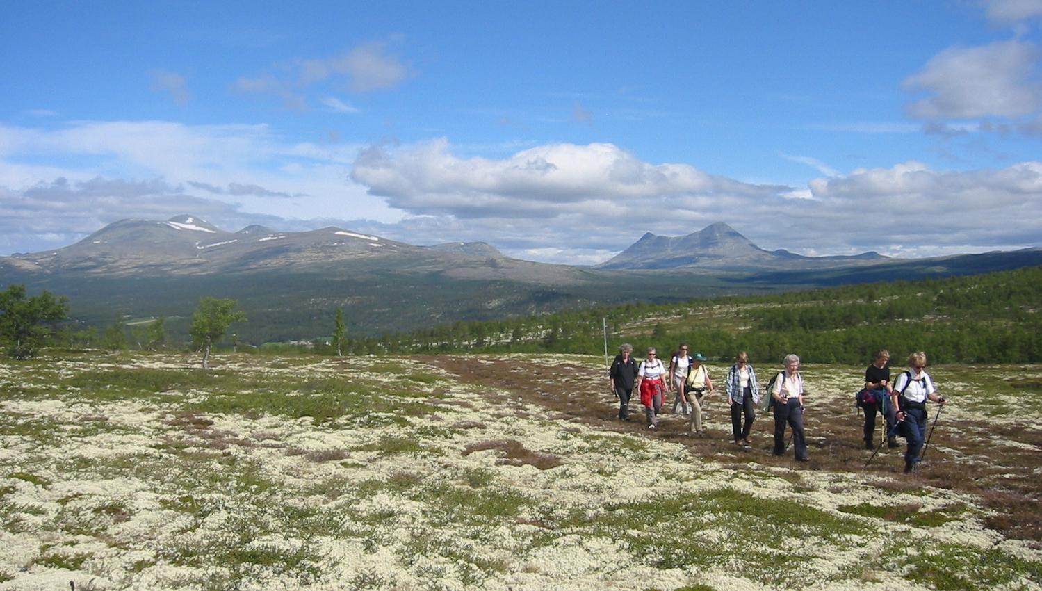 Rondane IMG_7012