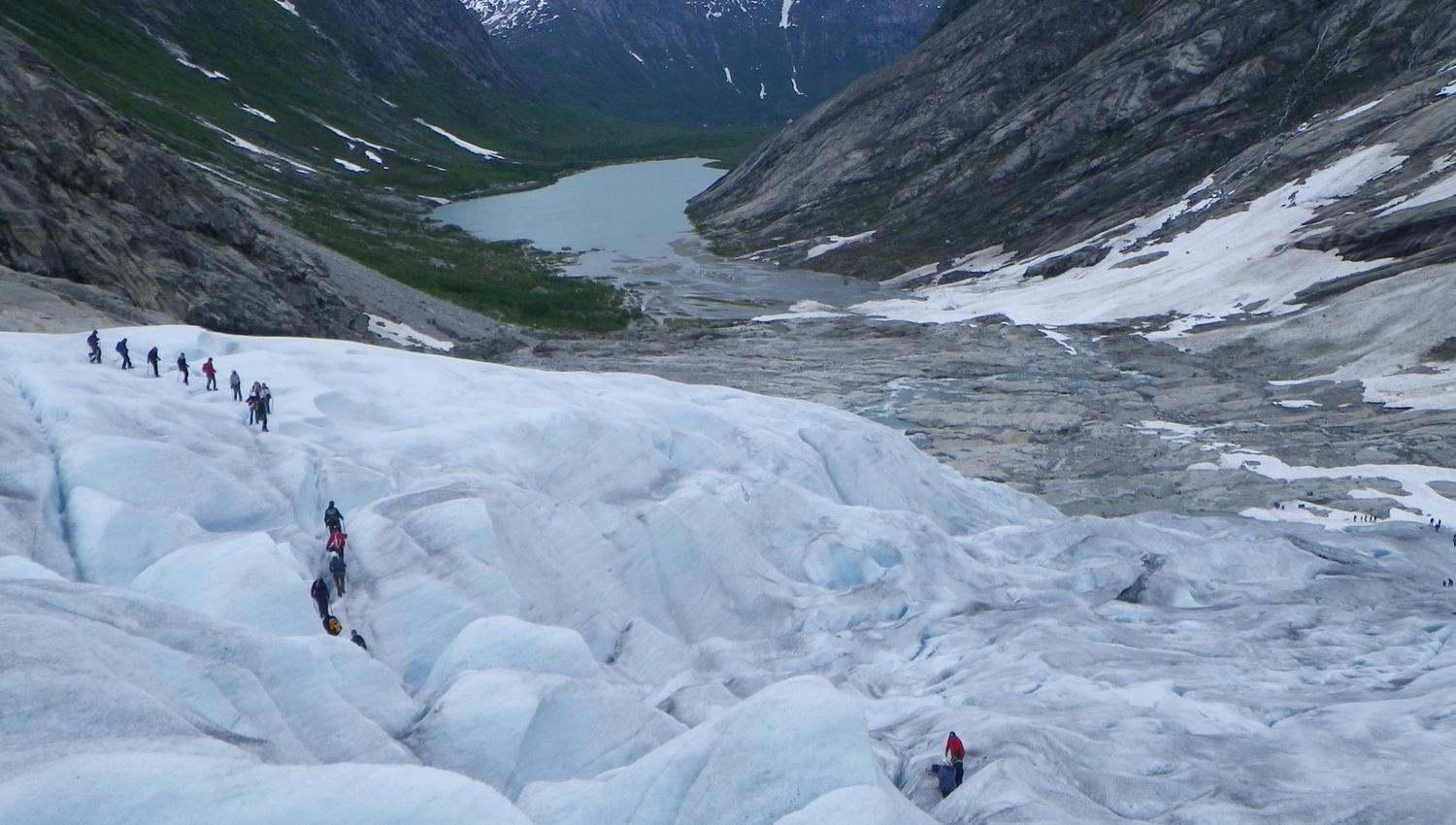 Nigards - IceTroll