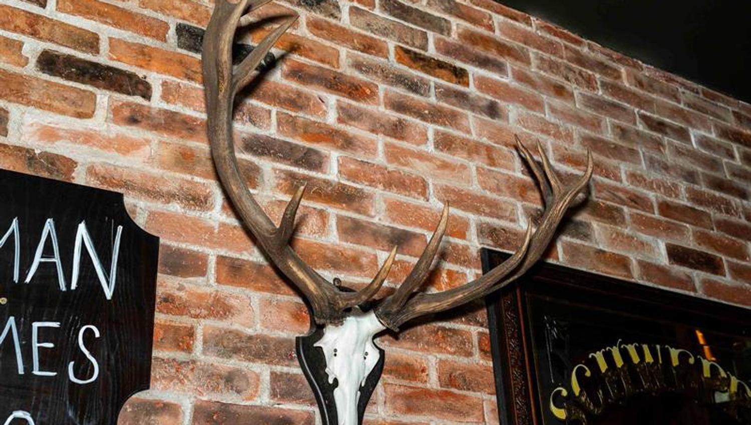 Detalj av hjortehorn hengende på en vegg