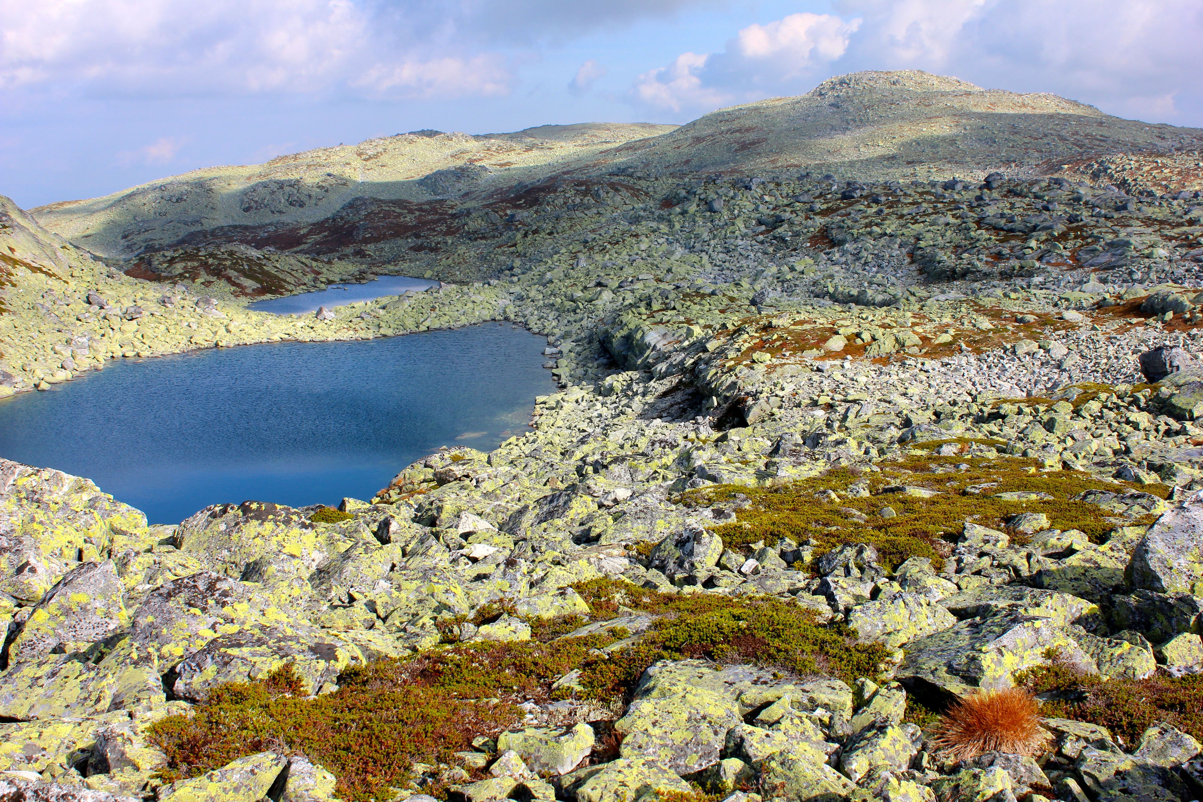 Grovt høyfjellsterreng med berg, mose og stille vann.