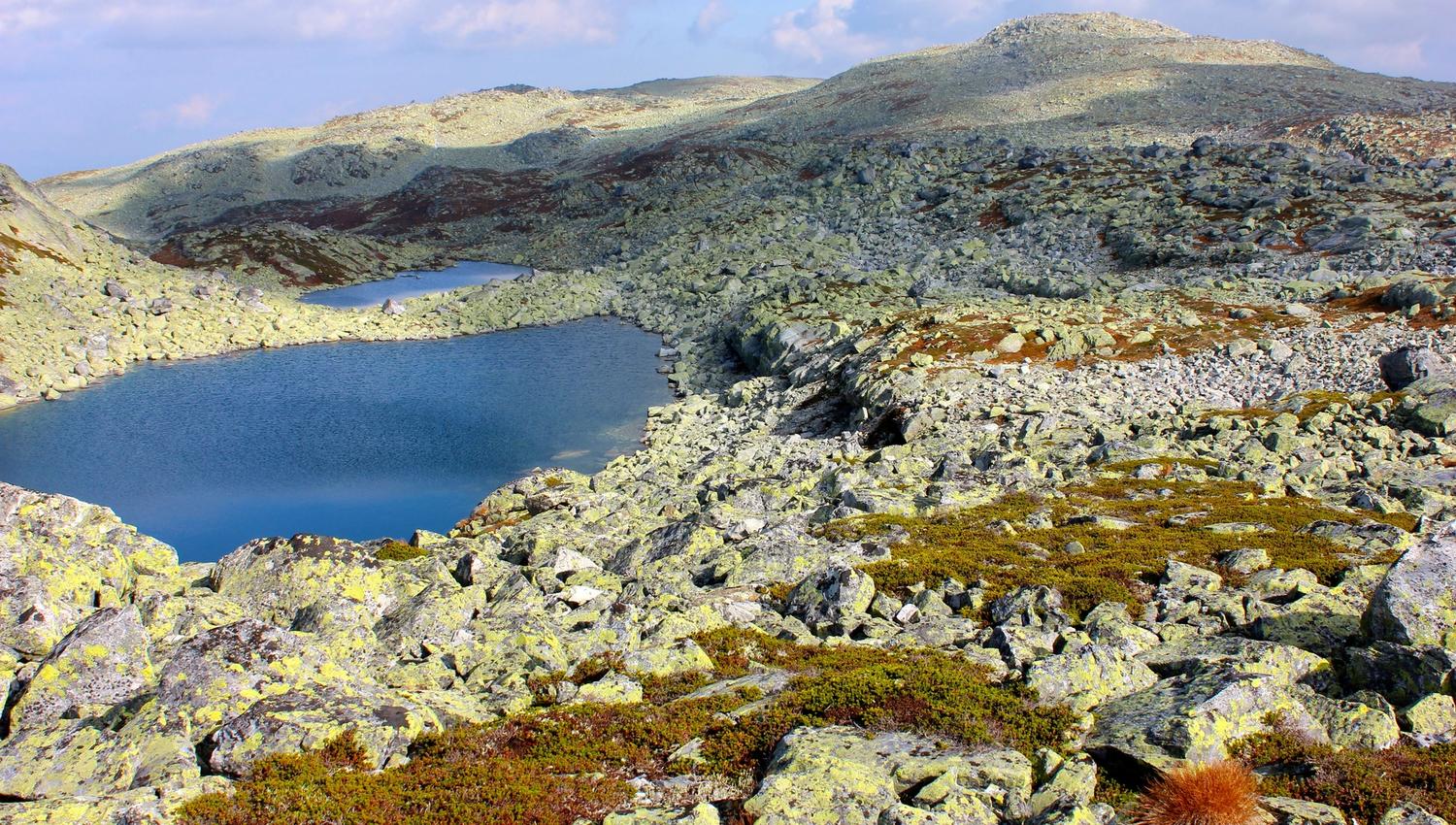 Grovt høyfjellsterreng med berg, mose og stille vann.