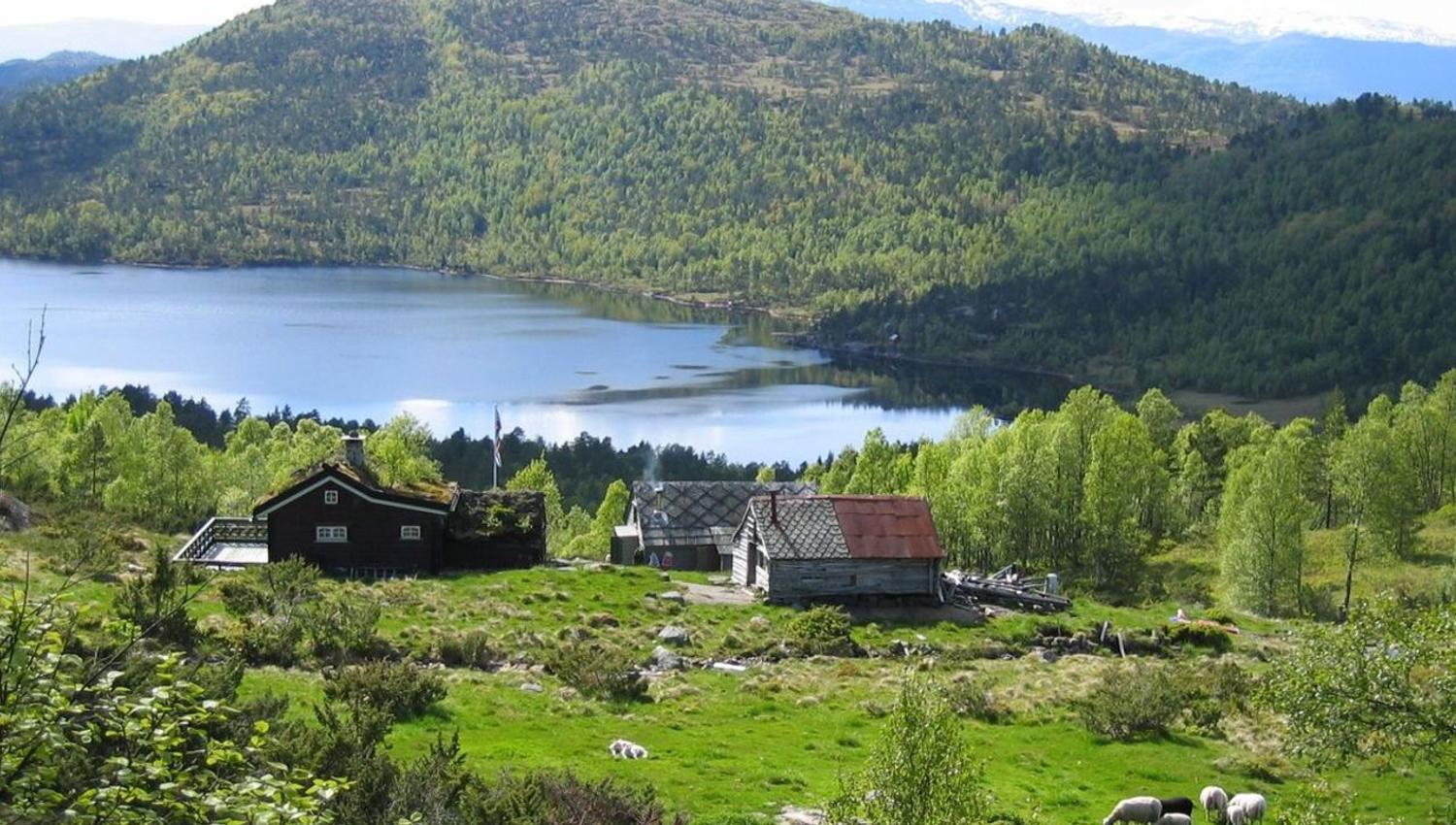 Stuasete, Sveinung Selsvik