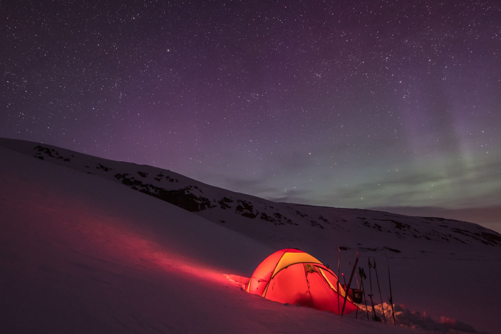 Moskussafari m/personlig guide, 2 dager