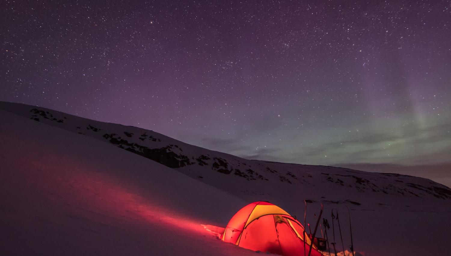 Moskussafari m/personlig guide, 2 dager