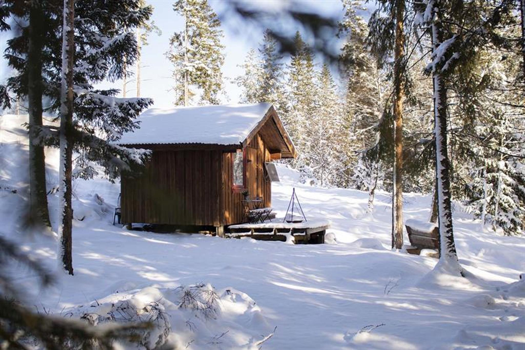 Sjarmerende hytte i skogen på Hammer gård
