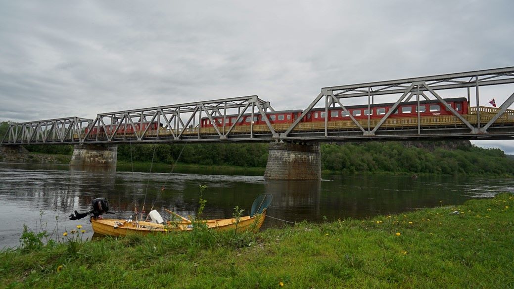 19477541_247919225702205_2091330749665687730_o