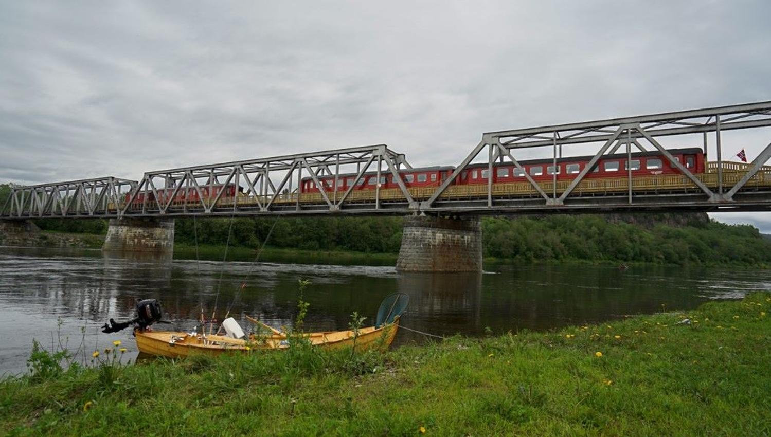 Namsen salmon & train experience