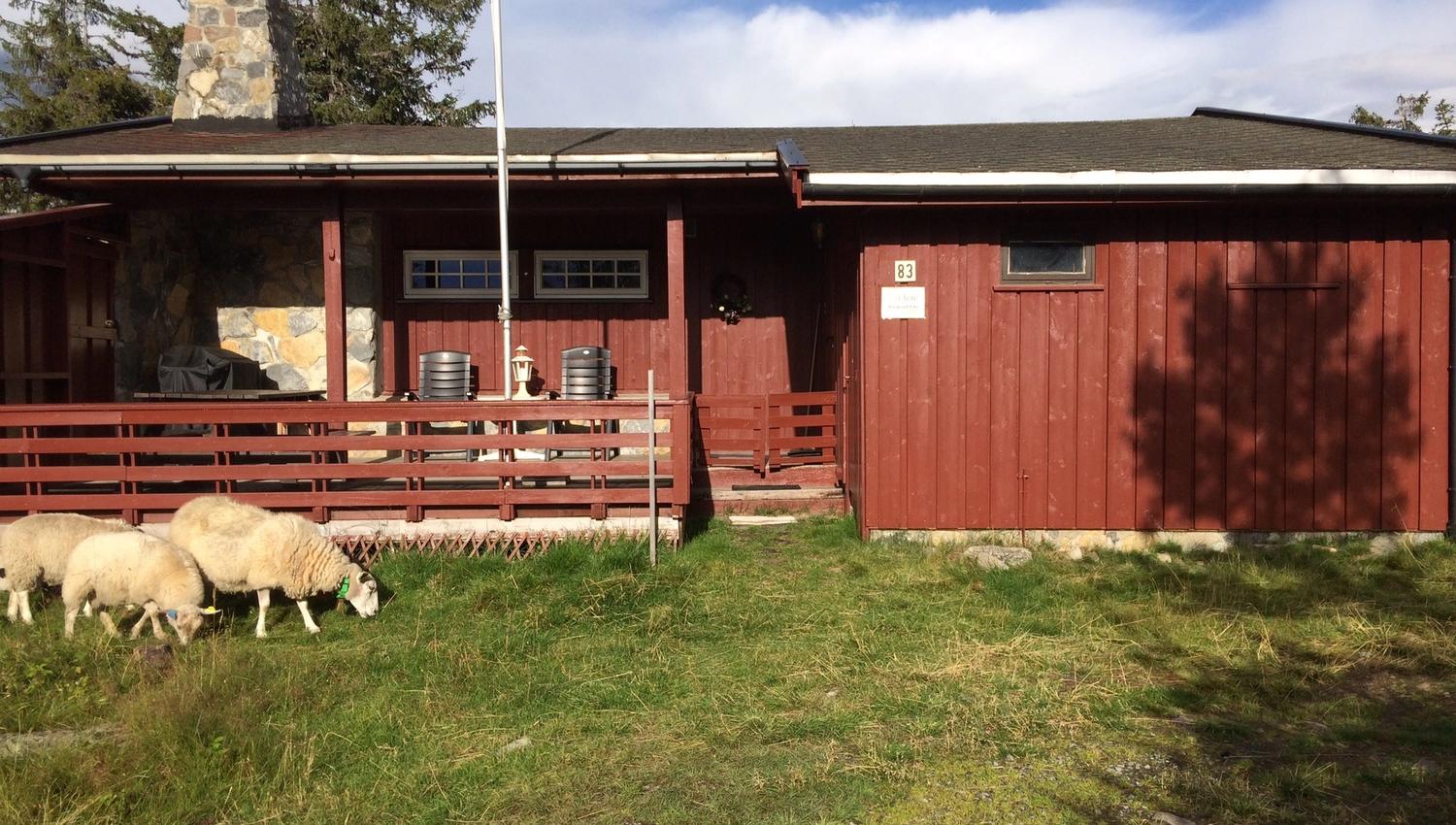 Hytte, Norgesbooking