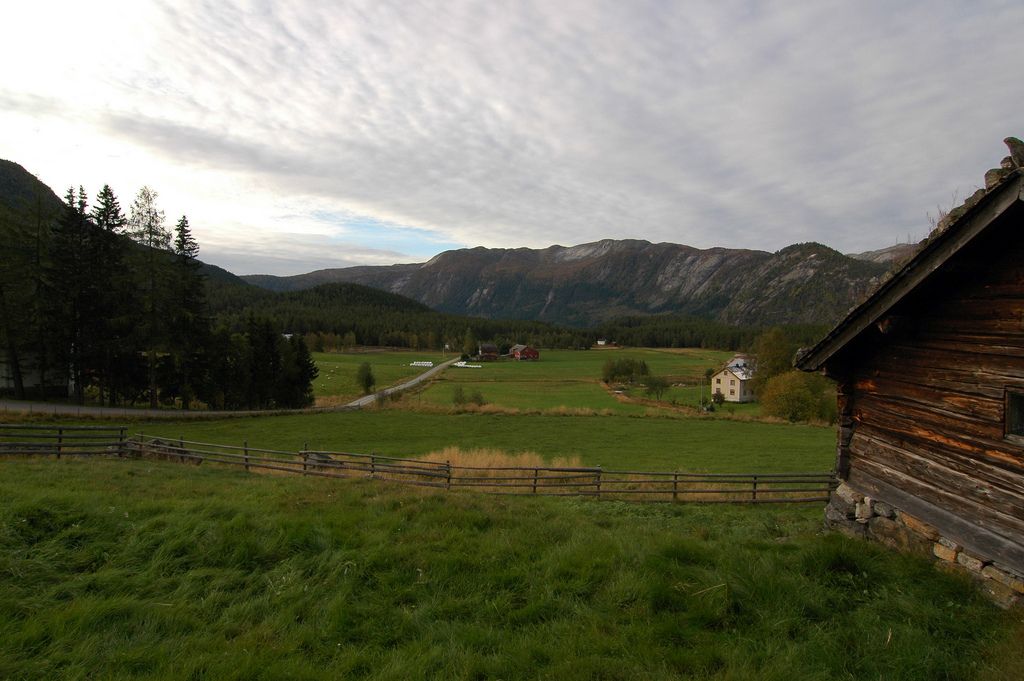 Sommar vy från Rygnestads gårdstun