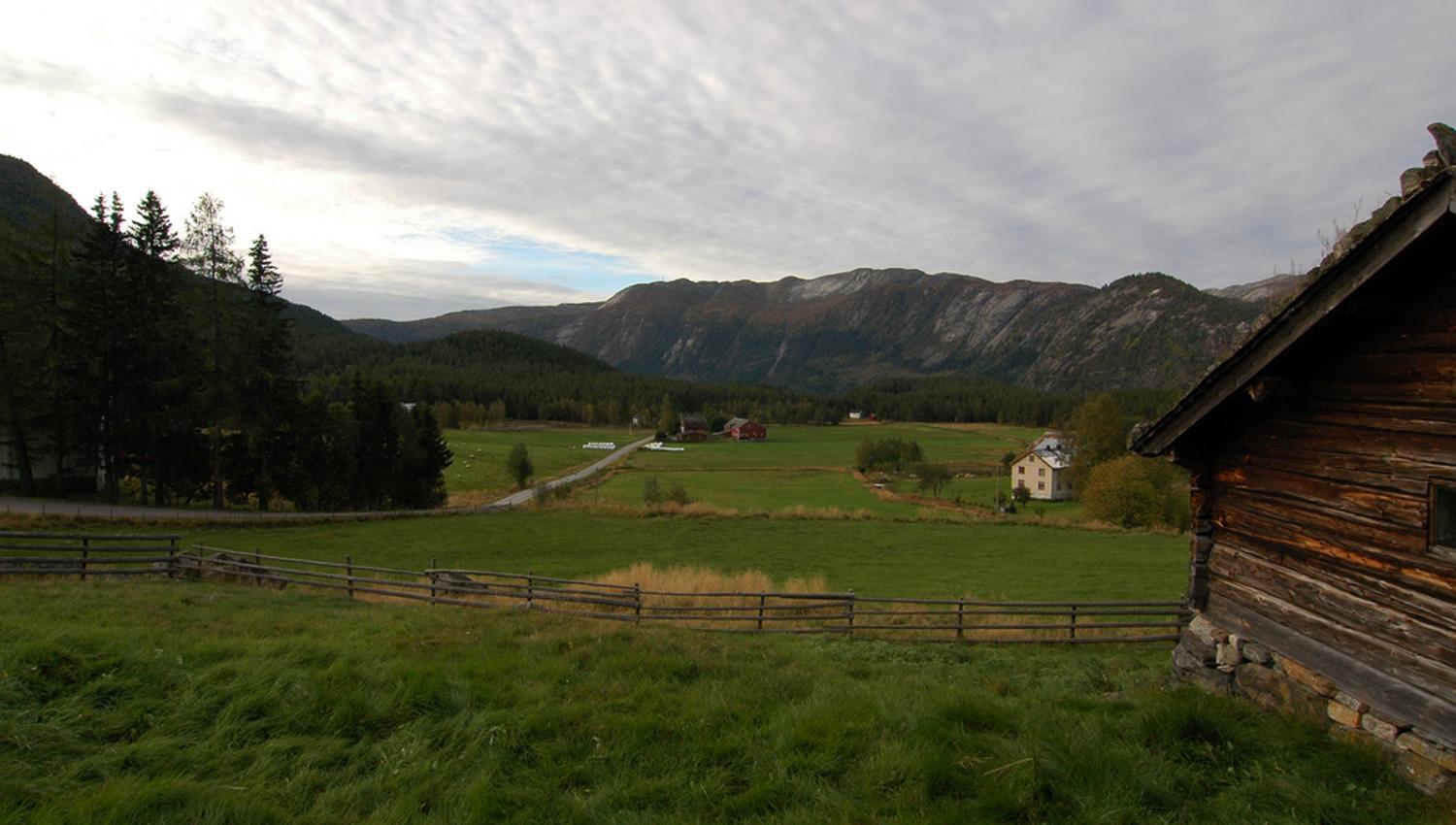 Sommar vy från Rygnestads gårdstun