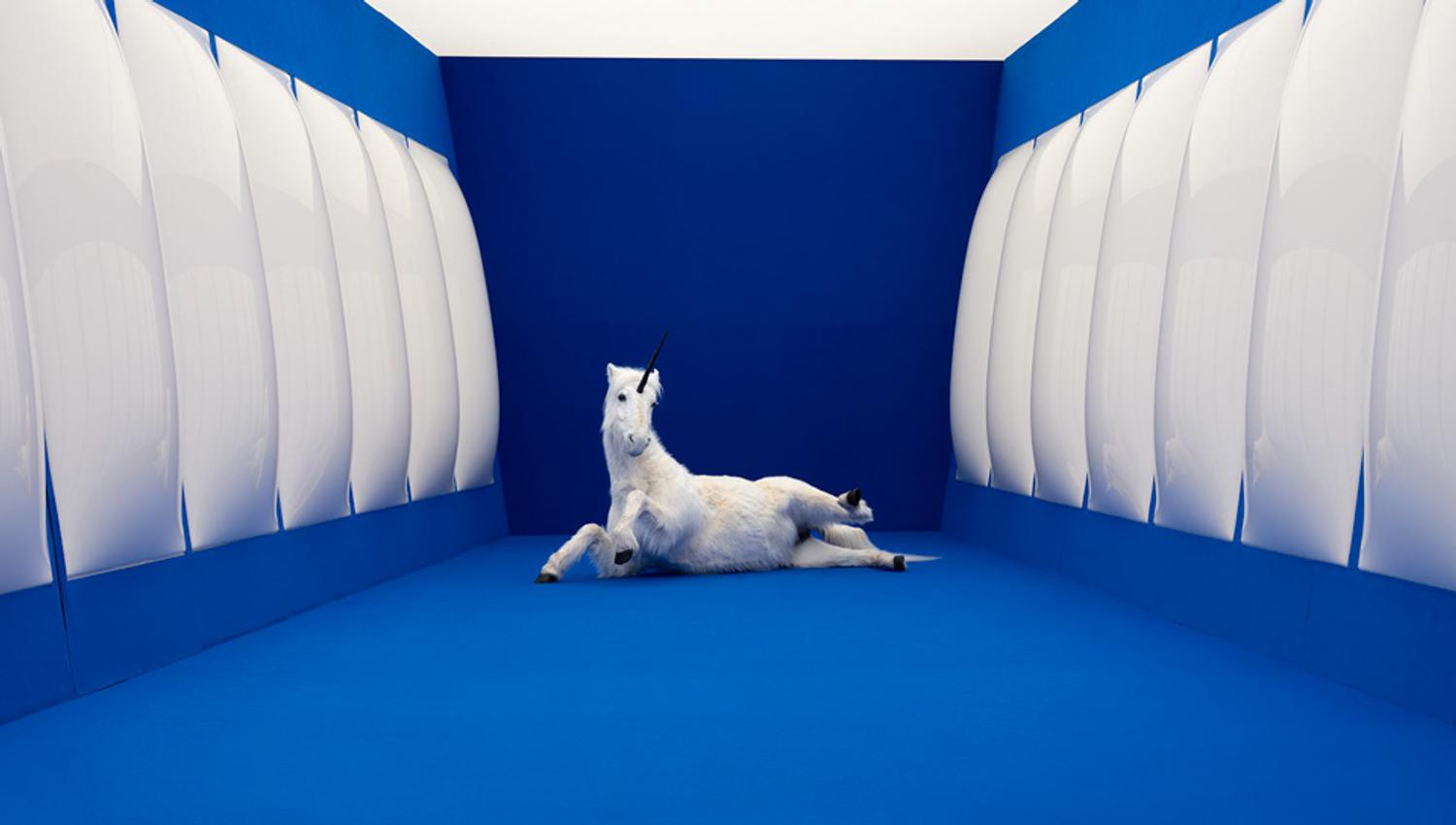 Blue room with unicorn