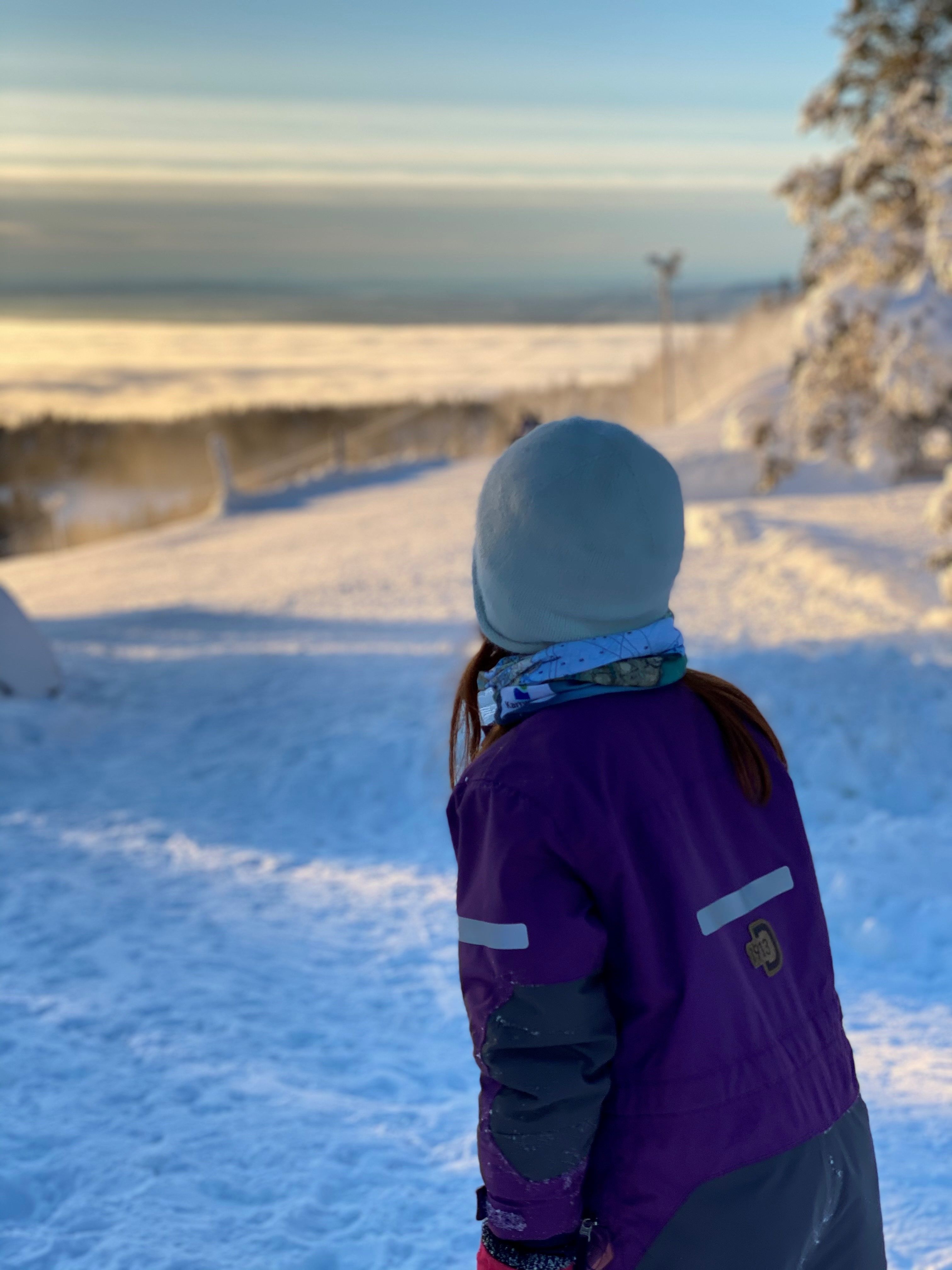 Utsikt fra Ringkollstua