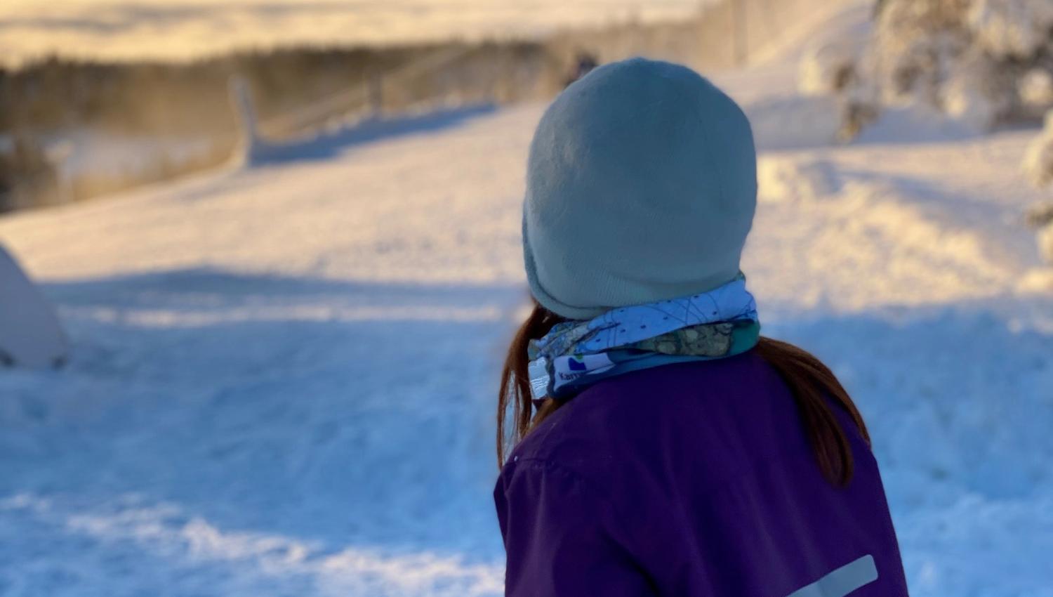 Utsikt fra Ringkollstua