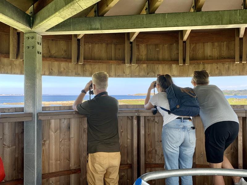Fugletårn på Herdla Museum