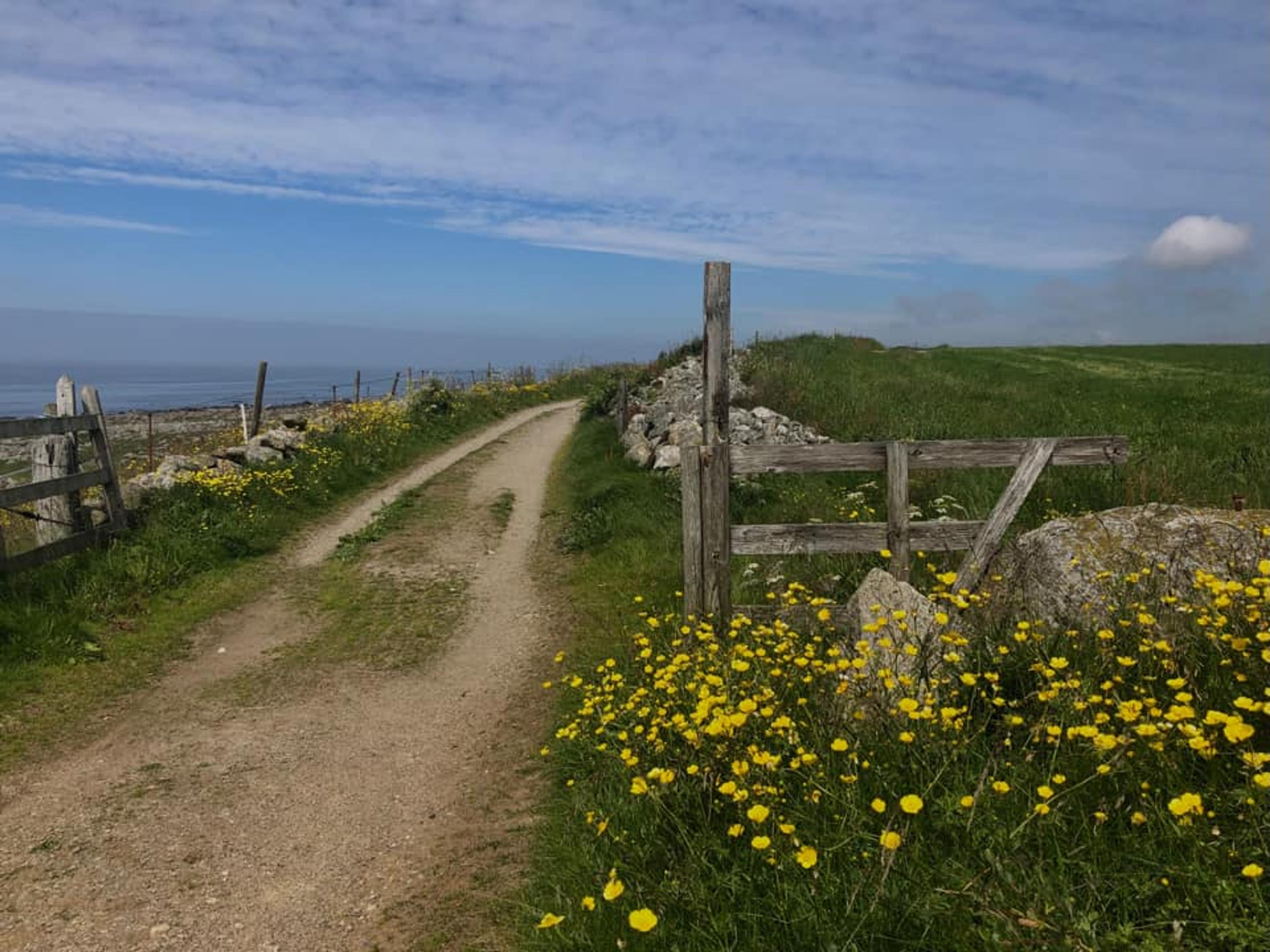 kongevegen a walking path along the Jæren coastline in the south western part of Norway.