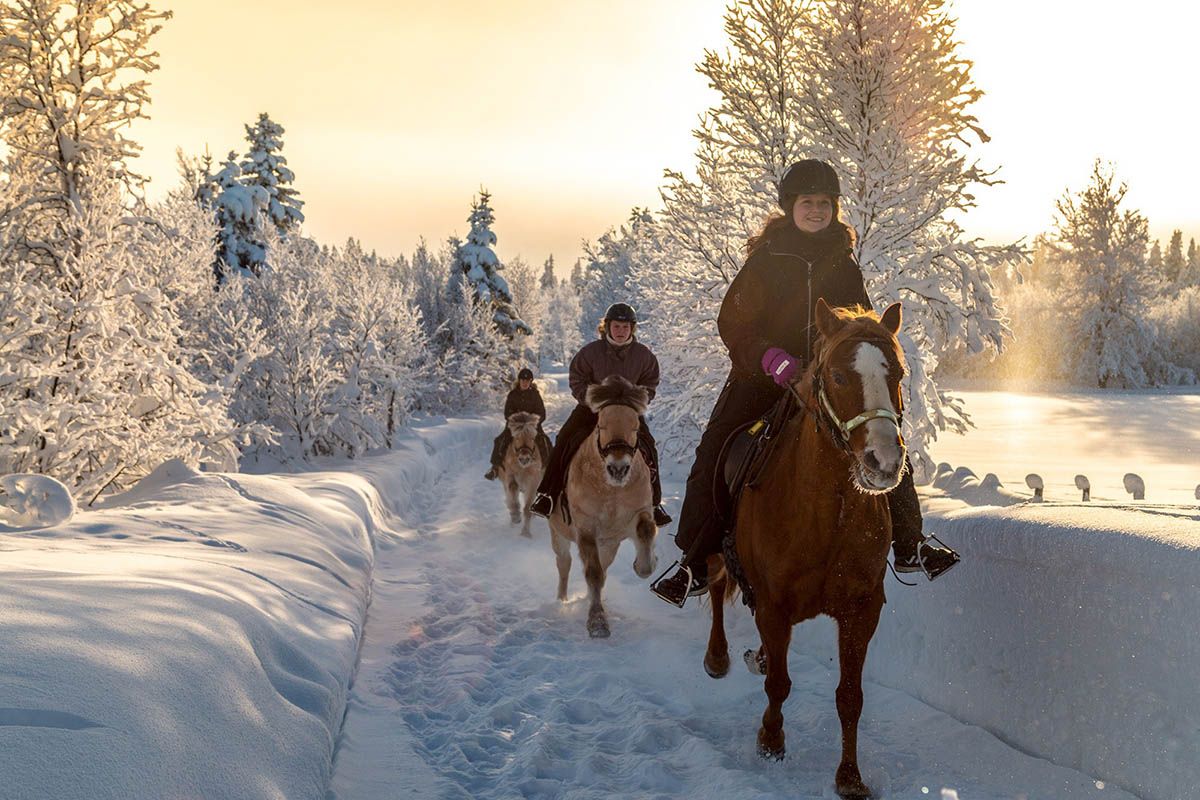 Galopp i løssnøen.