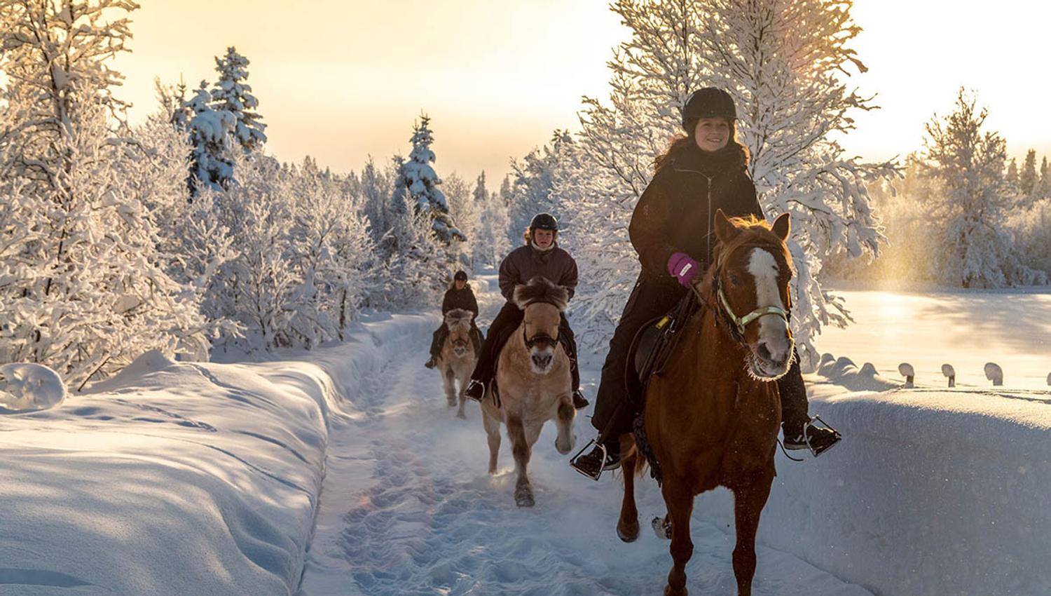 Galopp i løssnøen.