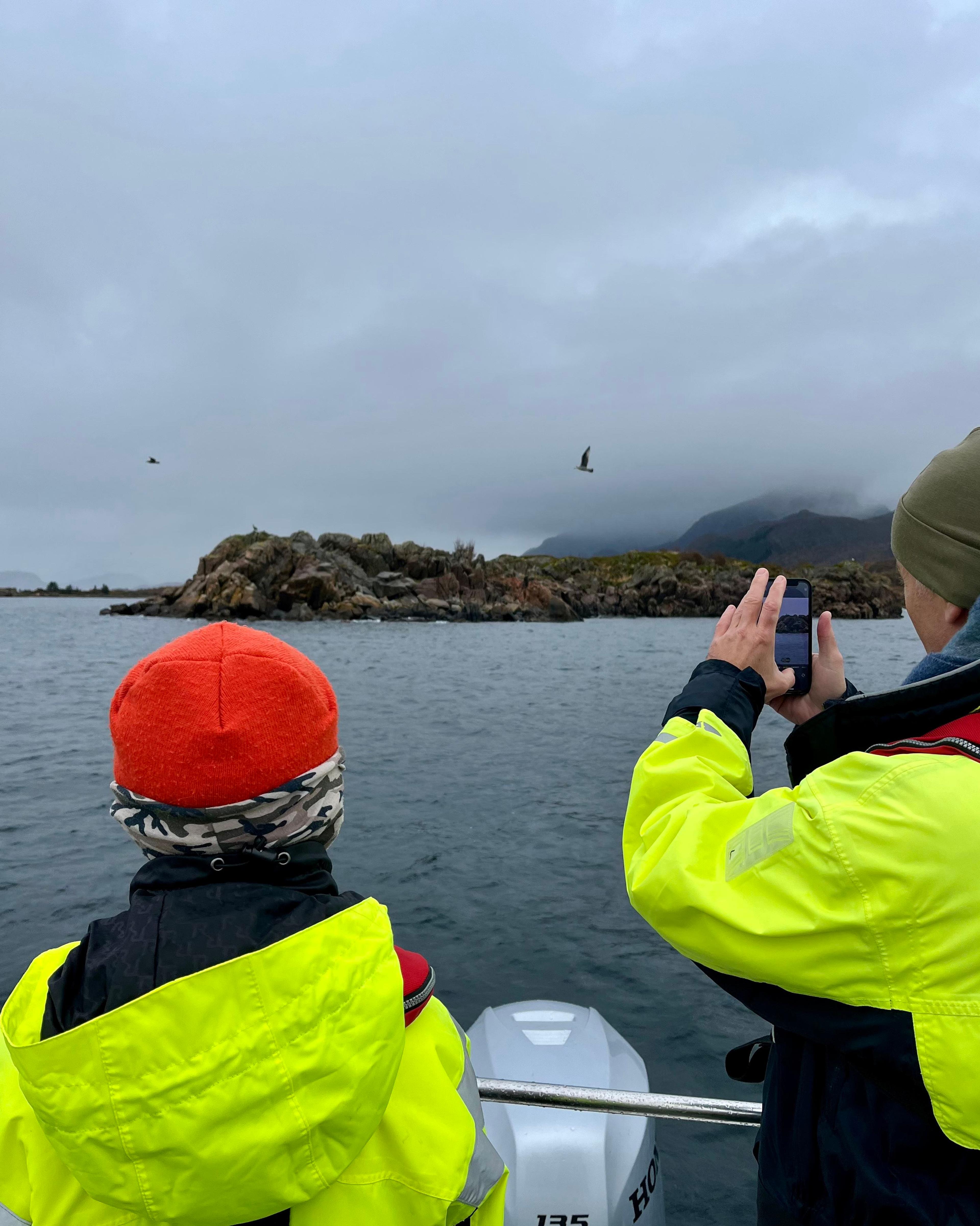 Ringstad Resort sea eagle safari