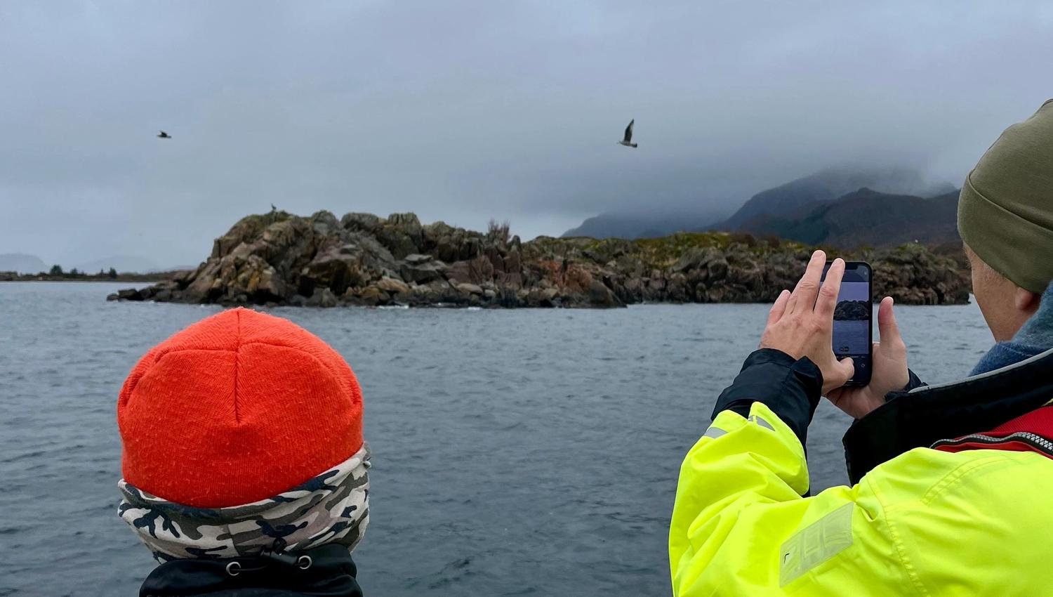 Ringstad Resort sea eagle safari