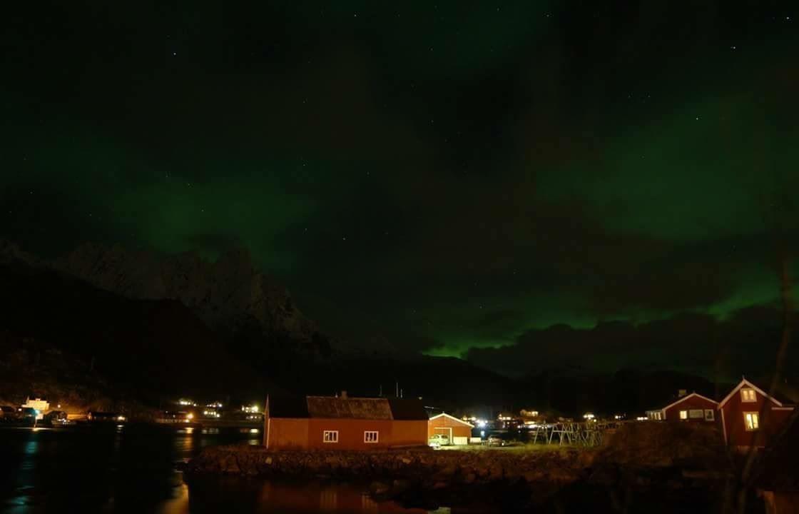 Overnatting rorbuer - Hemmingodden Lodge på Ballstad i Lofoten