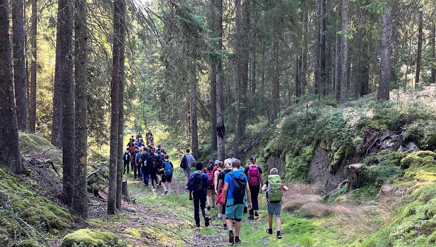 Større gruppe på tur i skogen