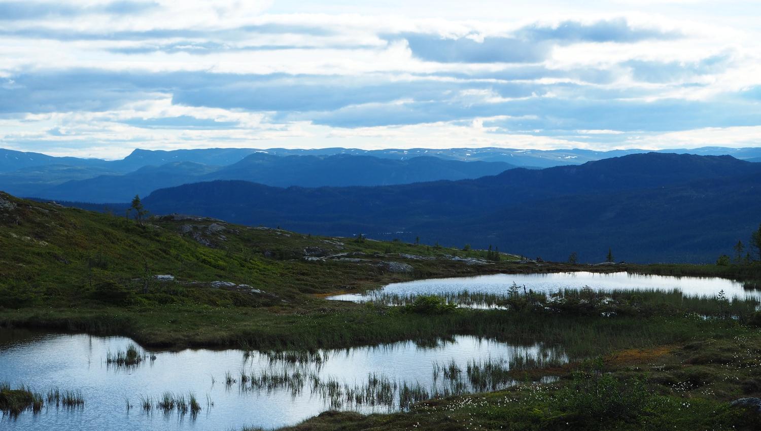 Veslefjell utsikt