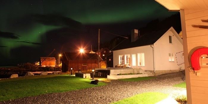 nattbilder med himmel full av nordlys