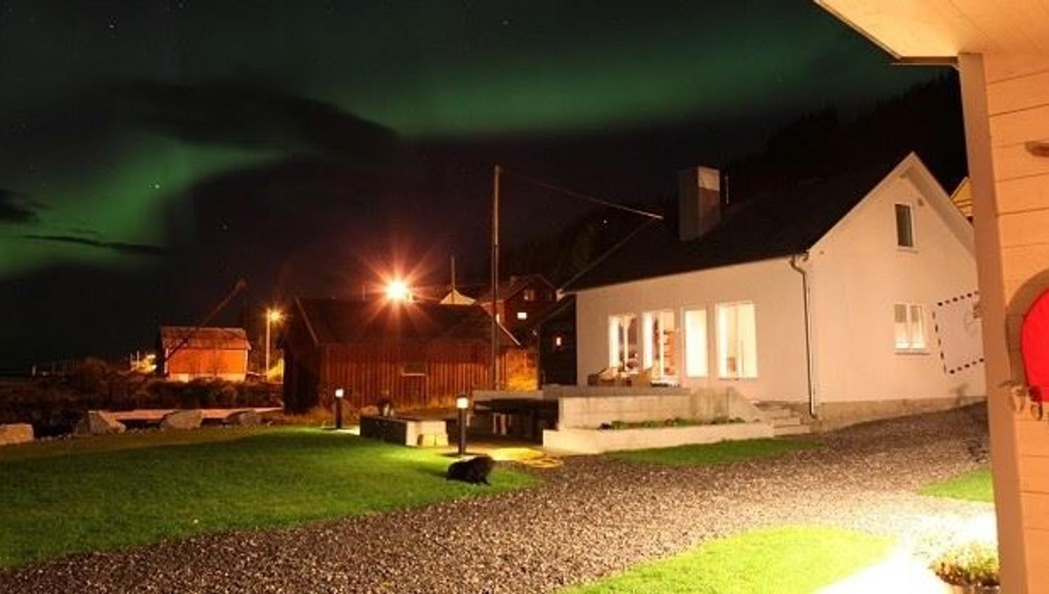 nattbilder med himmel full av nordlys