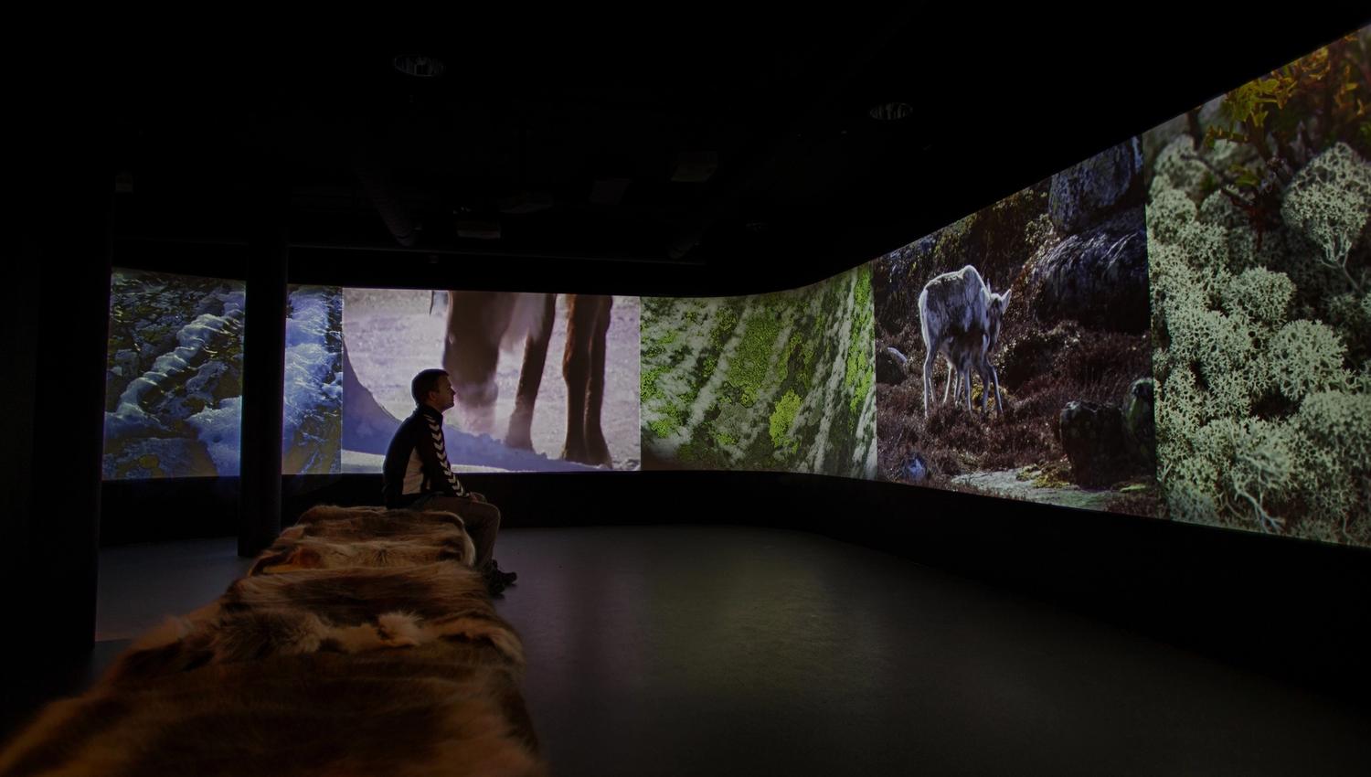 reindeer exhibition at Hardangervidda National Park Center