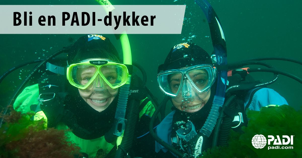 Stavern Dykkersenter