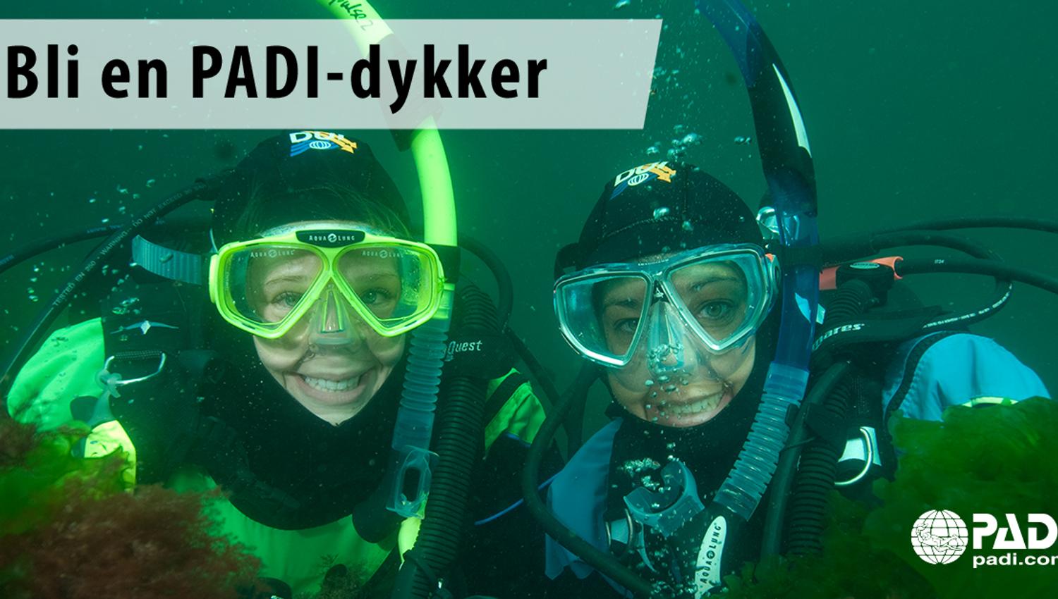 Stavern Dykkersenter