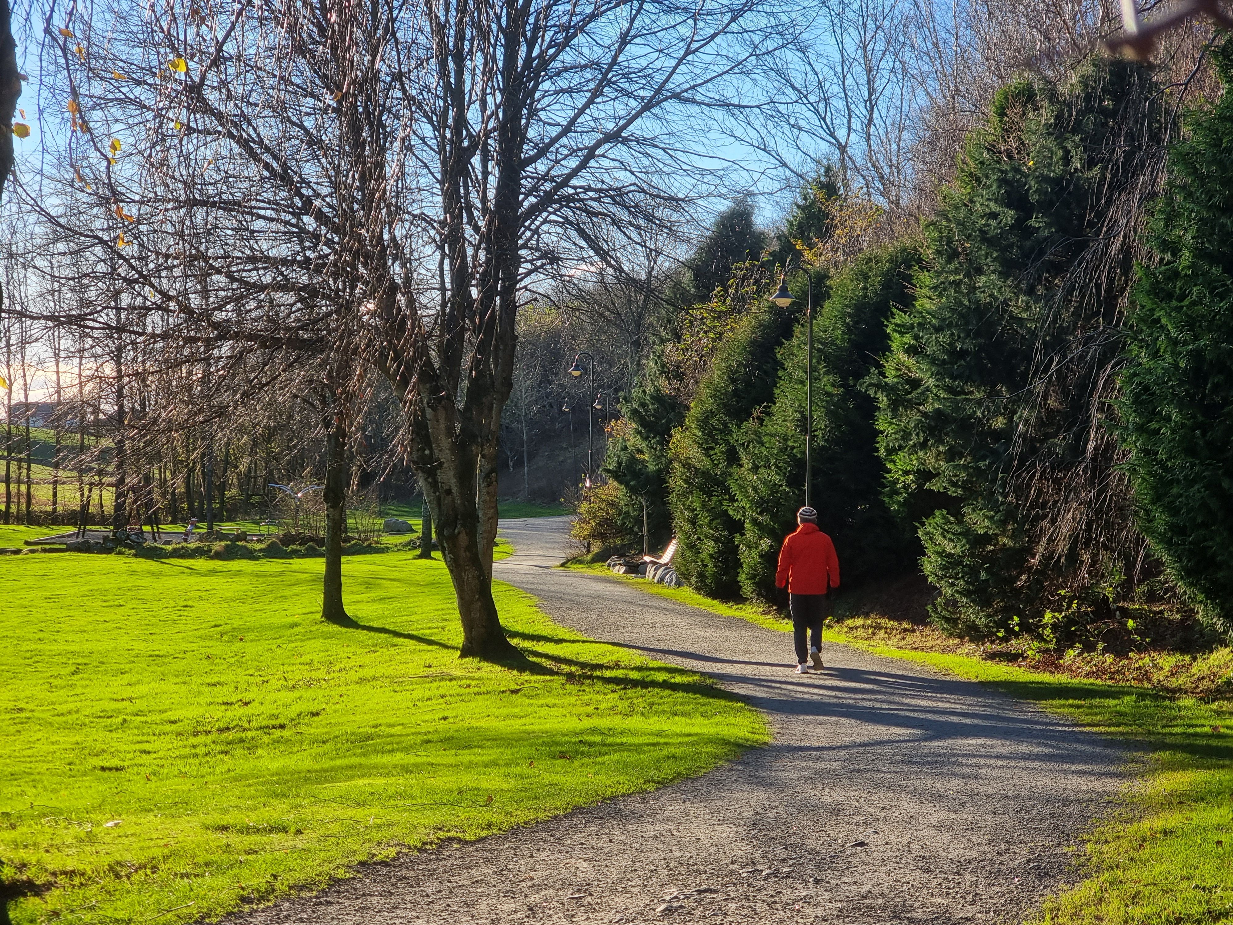 Easily accessible walking path