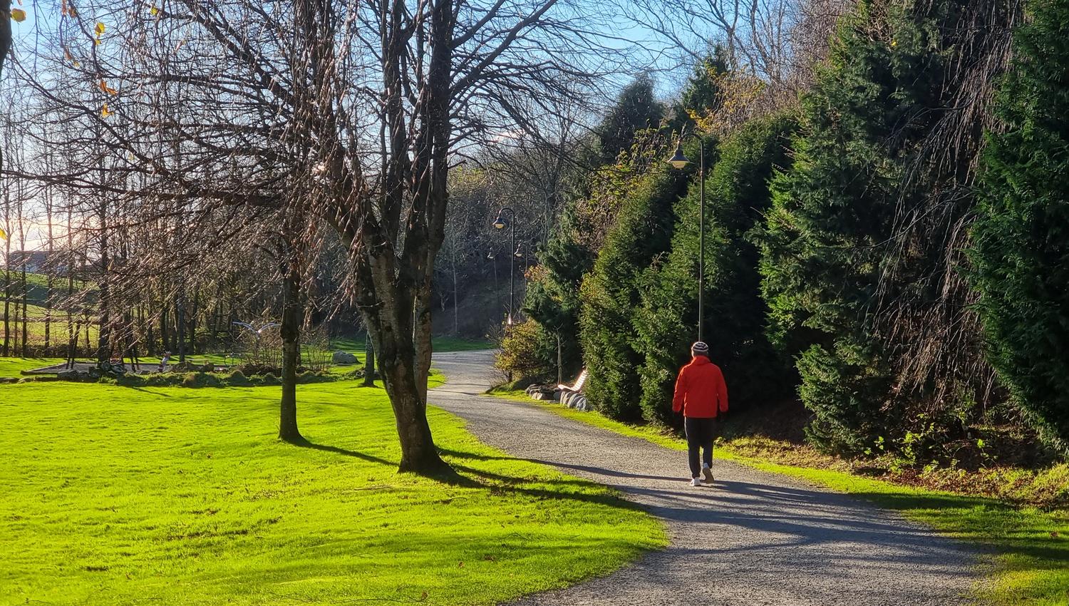Easily accessible walking path
