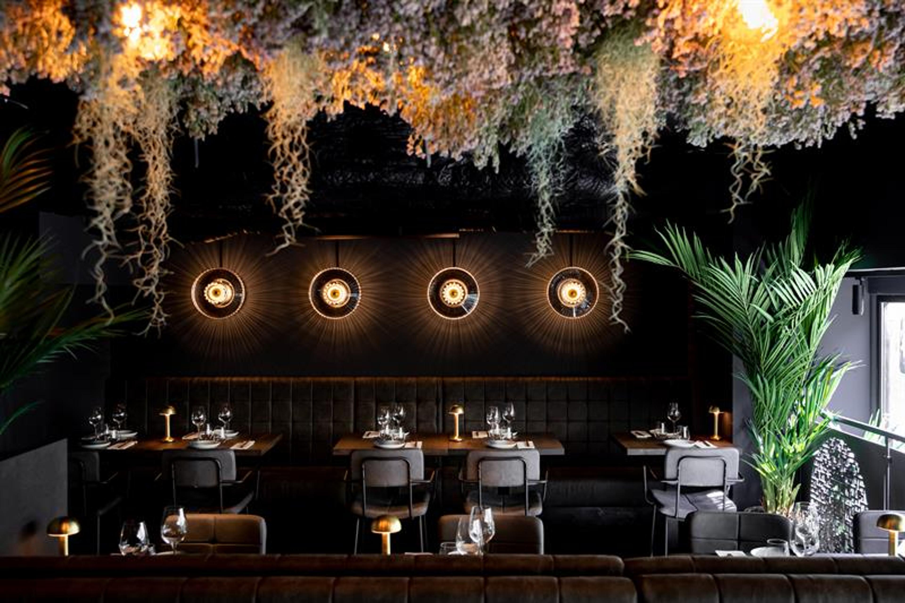 Restaurantinteriør med vegetasjon hengende fra taket og sortmalte vegger