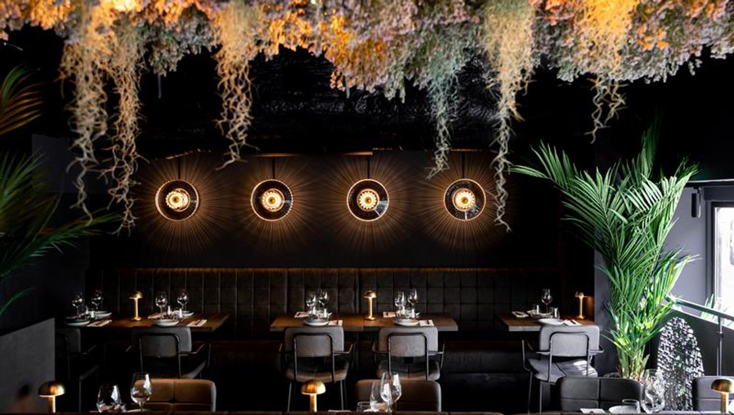 Restaurantinteriør med vegetasjon hengende fra taket og sortmalte vegger
