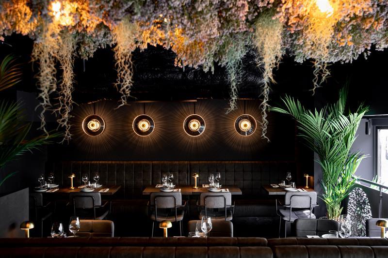 Restaurantinteriør med vegetasjon hengende fra taket og sortmalte vegger